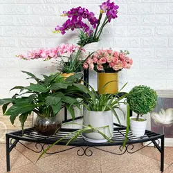 Support de Pot de fleurs à 3 niveaux, présentoir en forme d'éventail pour plantes, pour jardin, balcon, cour, salon 