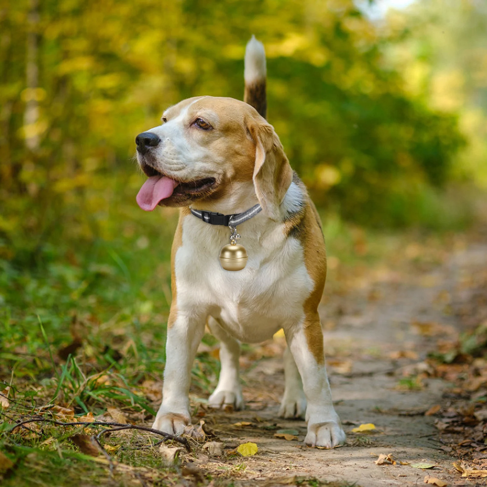 Pet GPS Tracker Smart Pet Bell Dog Cat Anti-lost Device Built-in 500 MAh IP67 Waterproof Electronic Fence Location Collar