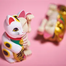 4D мастер-артист Джейсон Фрей обучающий собран белый счастливый кот прозрачный скелетный анатомия