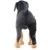 Pet Dog Leg Brace Right/Left Rear Leg Knee Hock Brace Bandages Ремни Защиты Собаки Суставной Бандаж Wrap Dog Recovery Supplies