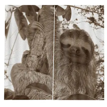 

170x200cm Funny Sloth Animal Curtain Mat Cartoon Sloth Tree Fabric Curtain Window Treatment Drapes