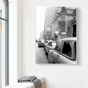 

Canvas Paintings Alpaca In A New York City Taxi Nordic Posters and Prints Animal Wall Pictures for Living Room Home Decor