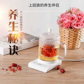 

Small Capacity Portable Office Multi-functional Smart Glass Mini Health Pot 0.5L Flower Pot