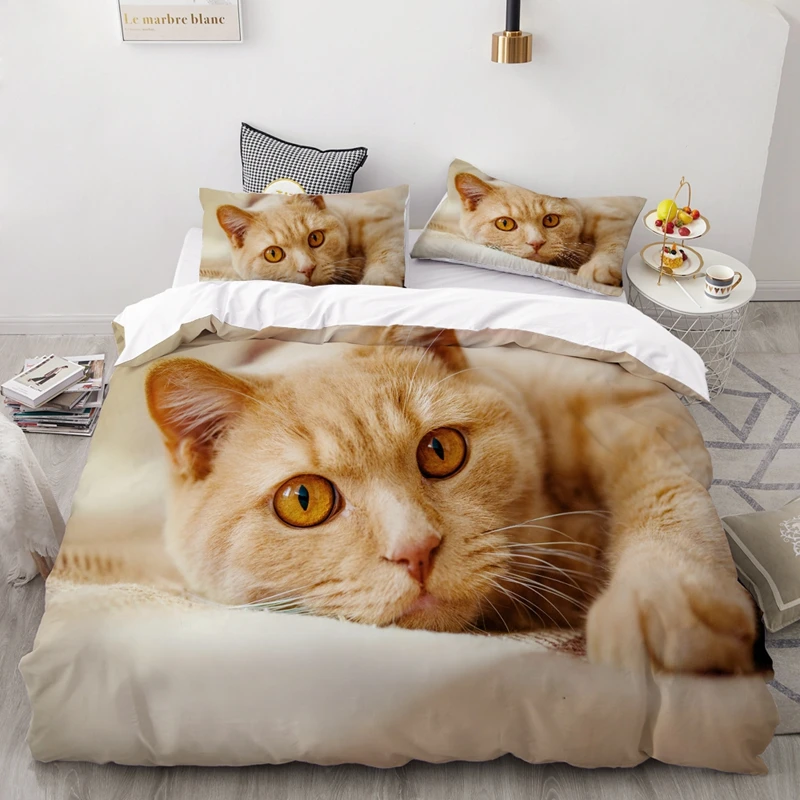 pet-06 (2)