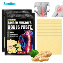 10Pcs/bag Tiger Bone Paste Back Joint Knee Pain Relieving Patch for Rheumatoid Arthritis Pain Medicine Medical Plaster Stickers