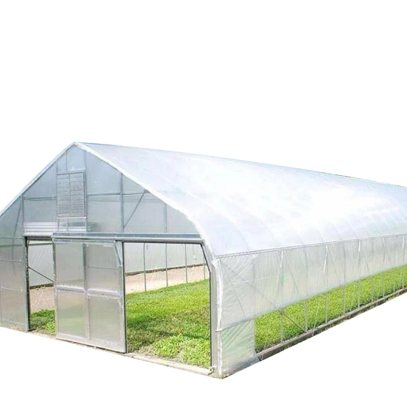 1M Wide Garden Flower Plant Covers PE Plastic Protective Film Agricultural Greenhous Film Keep Warm Shade Rain-proof Garden