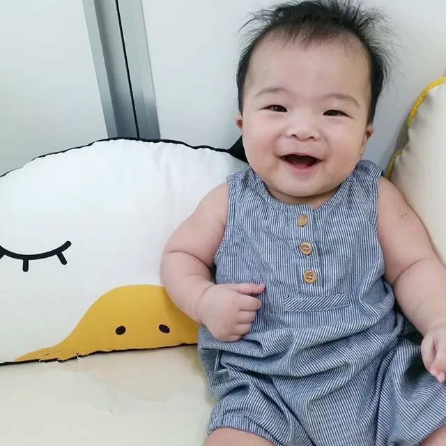 aeProduct.getSubject()