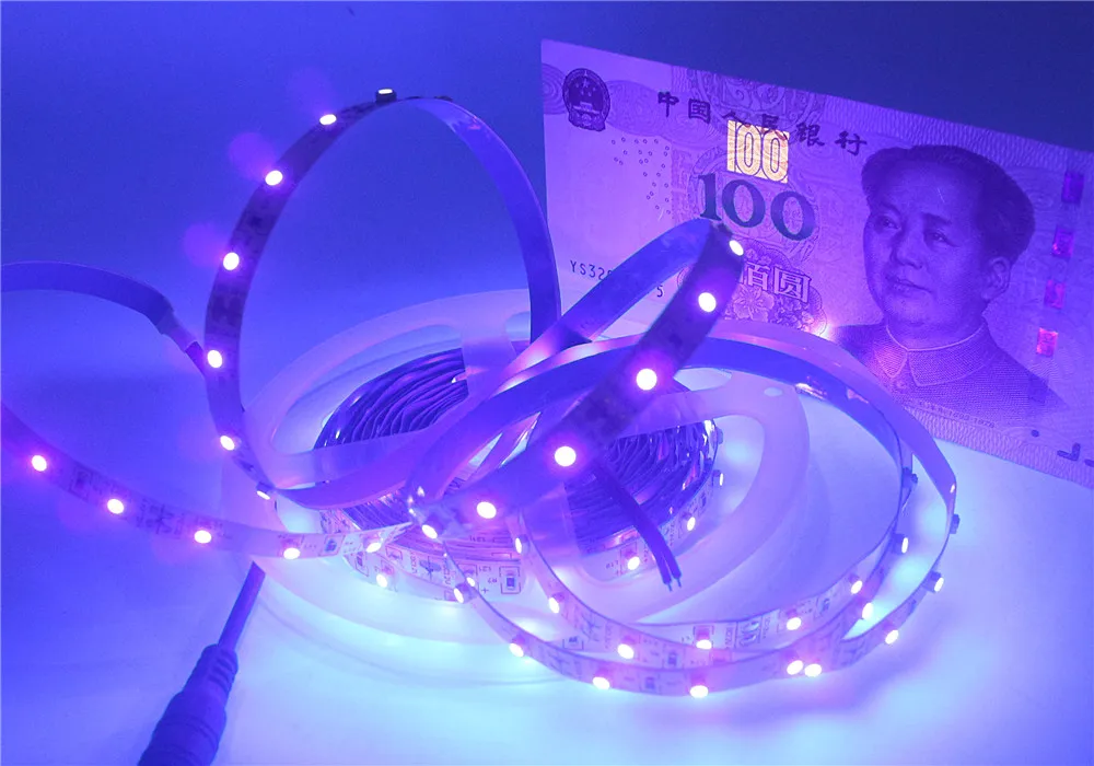 IMG_6619_副本