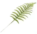 Green A
