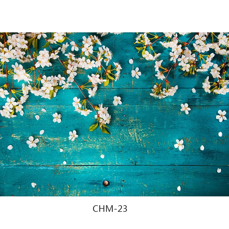      ǰ   κ  Ʃ  21710 CHM-13