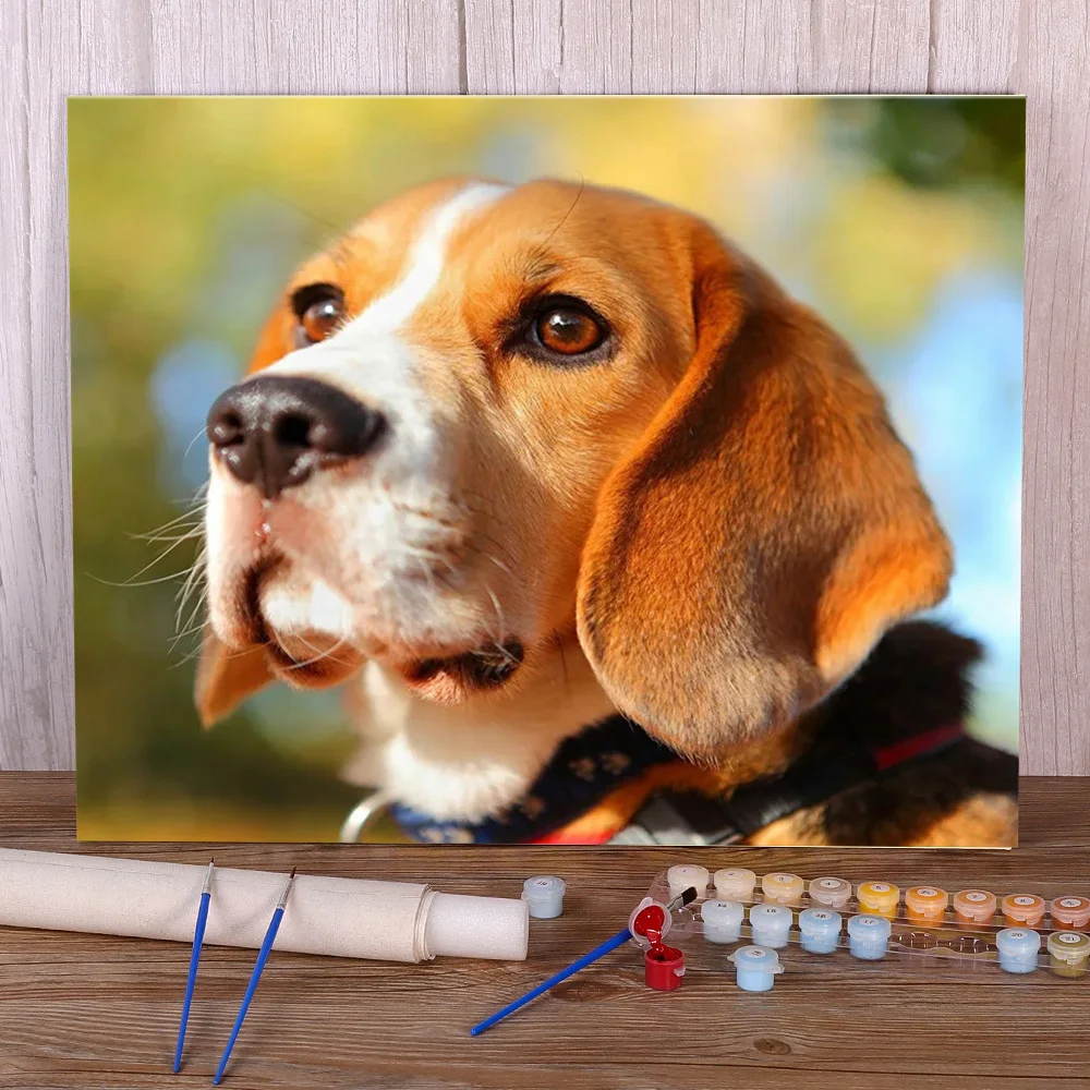 Painting Beagle Dog PaintByNumber Kits & How To