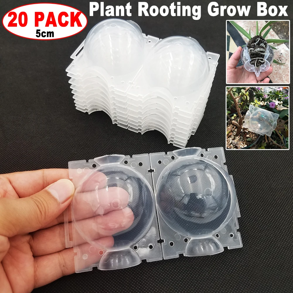 20Pcs Cutting Grafting Rooting Ball Reusable Plant Rooting Ball Sapling Propagation Breeding Box Garden Plant Root Growing Box 3