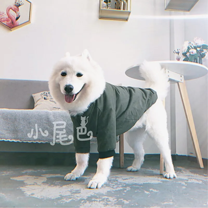 big dog clothes jacket
