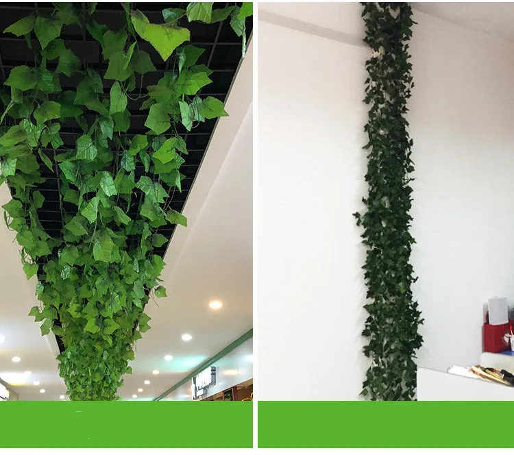 11148235163_1451029161