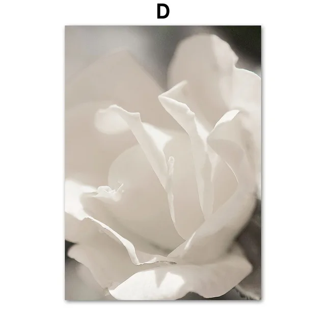 White Dandelion Peony Rose Flowers Canvas Painting Nordic Posters And Prints Wall Art Pictures For Living Room Home Decor D