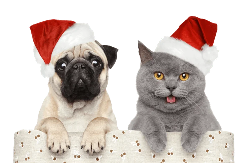 Christmas Party Magic Swing Party Electric Hat Red& White Xmas Cap Santa Claus Gift Merry Christmas Hats Dancing Caps Pets Dec