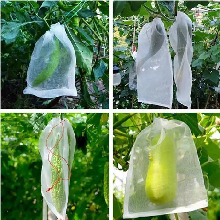 

Fruit insect net Garden net flowerpot and growing bag Insect net 10pcs You can customize your size