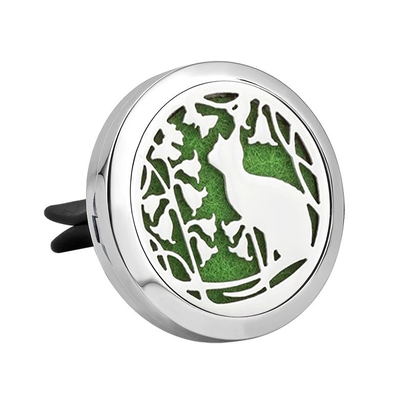 21 Essential Oil Car Diffuser Locket