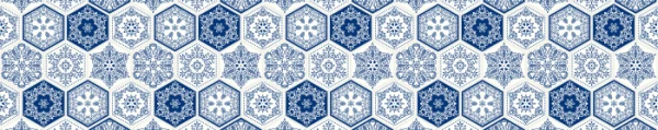 100x20 11