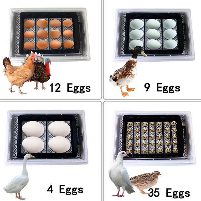 Горячая Распродажа 4-35 яиц инкубатор полностью автоматический контроль температуры Брудер Курица Утка Птица голубь использовать домашний инкубатор