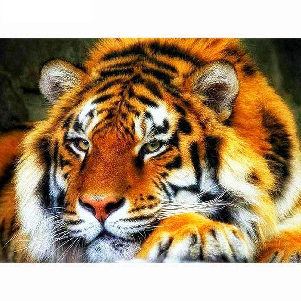 

Diamond Embroidery Tiger Diy Diamond Painting Full Square Animals Picture Of Rhinestone Diamond Mosaic Pattern Crafts Home Decor