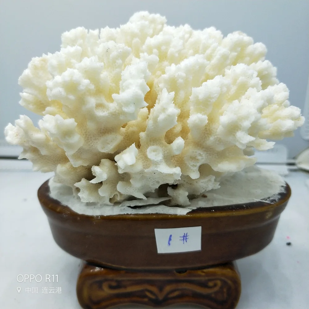 IMG20190923144154