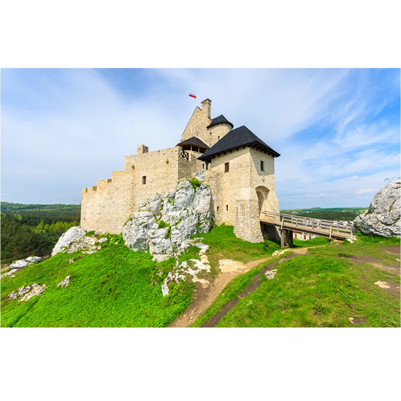 

Colorful print castle Wall Tapestry Wall Hanging Psychedelic Tapestry Decor for Bedroom Living Room M1146