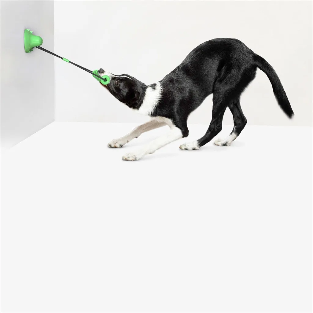 suction cup dog