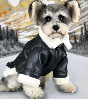 

Warn Small Dog Clothes Jacket Winter Fur Collar Leather Pet Dog Outfit Coat Windproof Dog Down Luxury Bulldog Pet Clothing