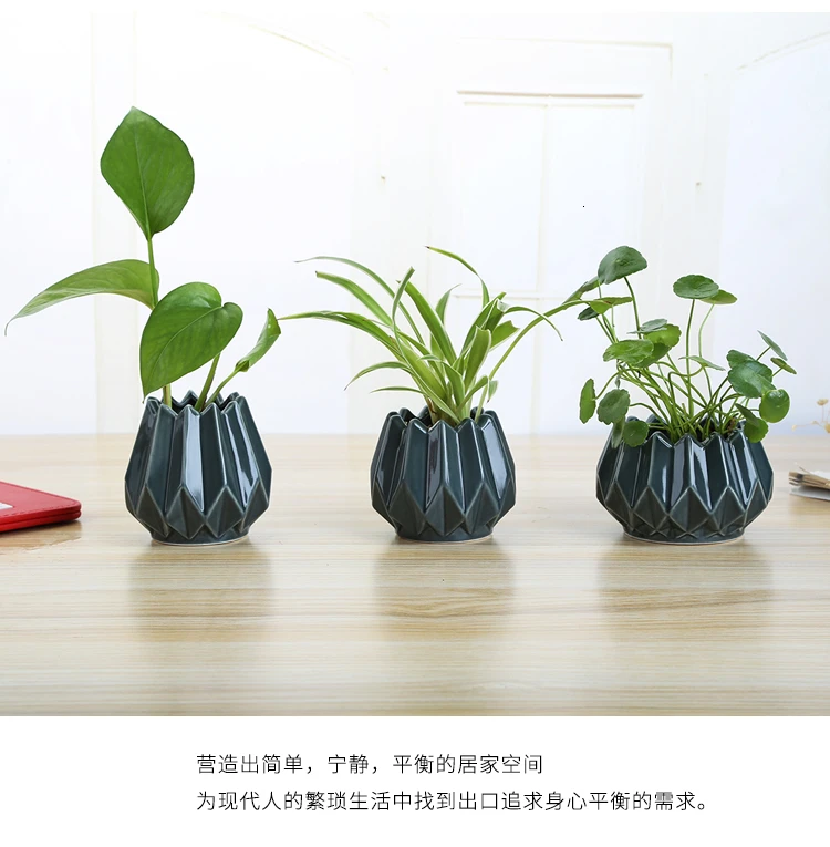 Flowerpot Originality Ceramics Hydroponics Vase A Living Room Television Cabinet Decorate Ornament Can Store Up Water Small