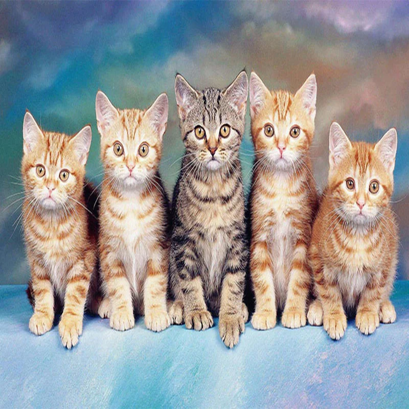 

5D DIY Diamond Painting Cartoon Cats Animals Full Round Set Embroidery Crystal Mosaic Cross stitch Adults Art New Style Gifts
