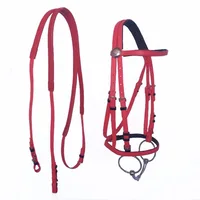 Horse Riding