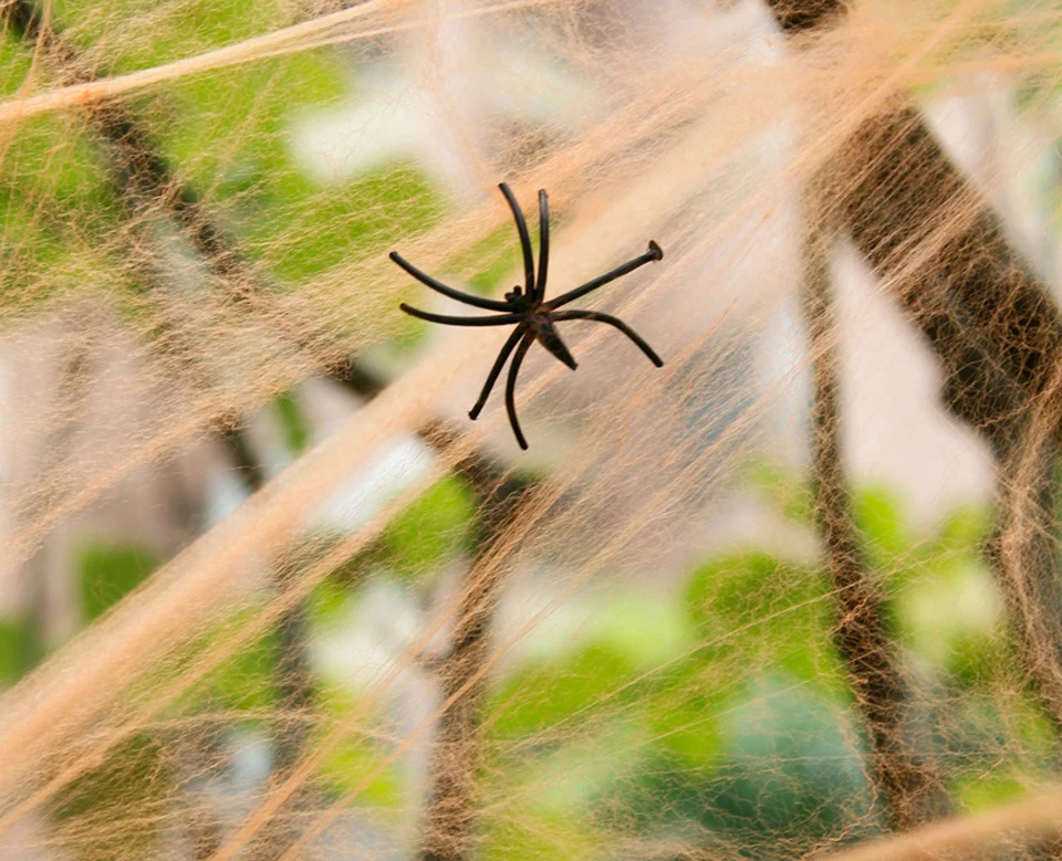 TB2rfAxfpXXXXbbXpXXXXXXXXXX_!!470248666