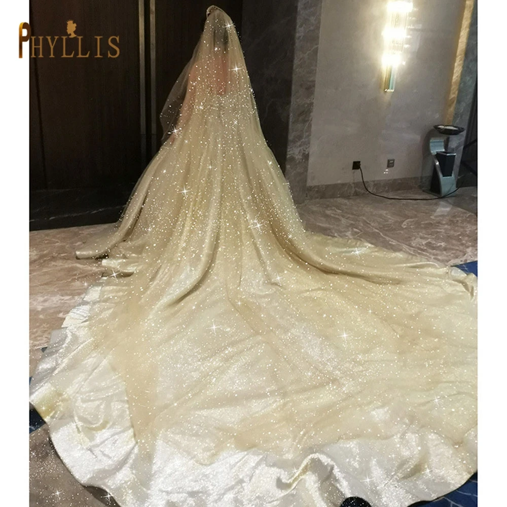 B58 Champagne Wedding Veil Bling Bridal Veils Long 3M/5M Sparkle Veil Cathedral Wedding Veils One Layer Shiny Veil with Comb