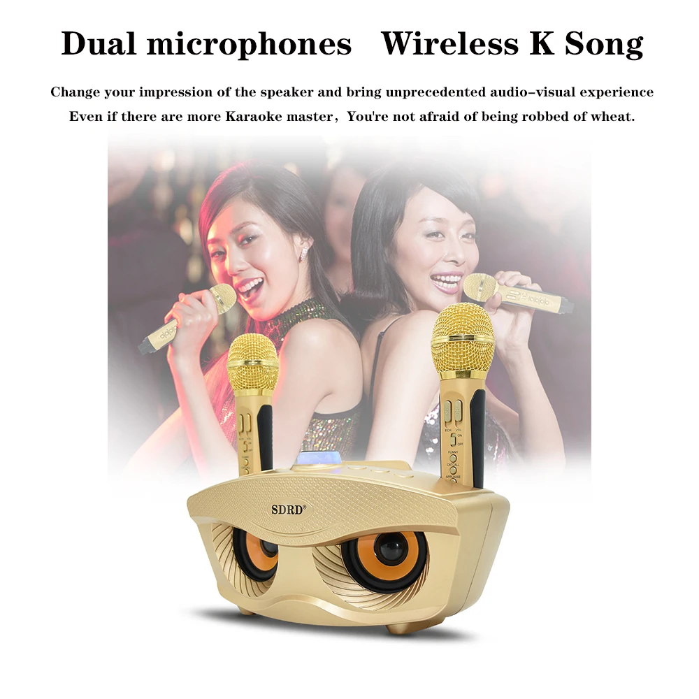 SD 306 портативная семейная караоке система два беспроводных микрофона с 20 Вт стерео Bluetooth динамик конденсаторный караоке микрофон