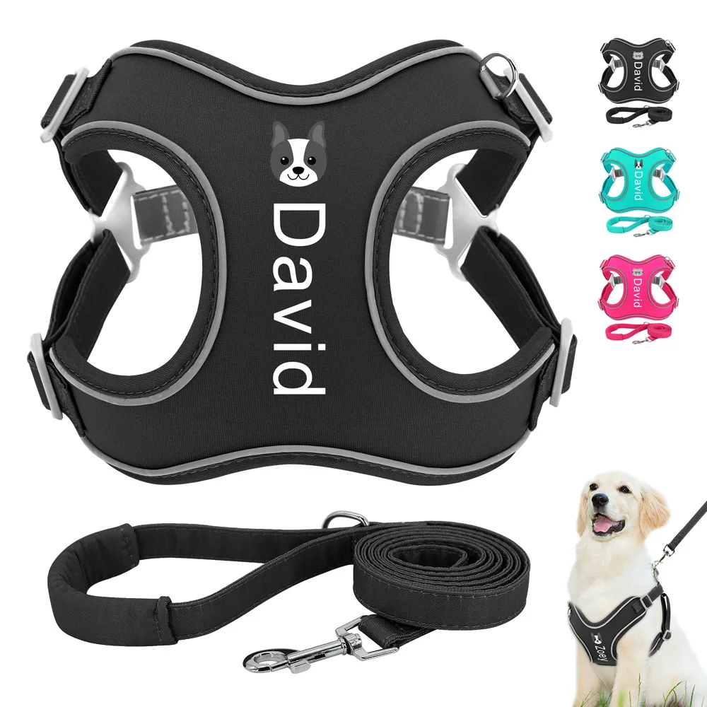 Monogram Dog Harness And Leash Set