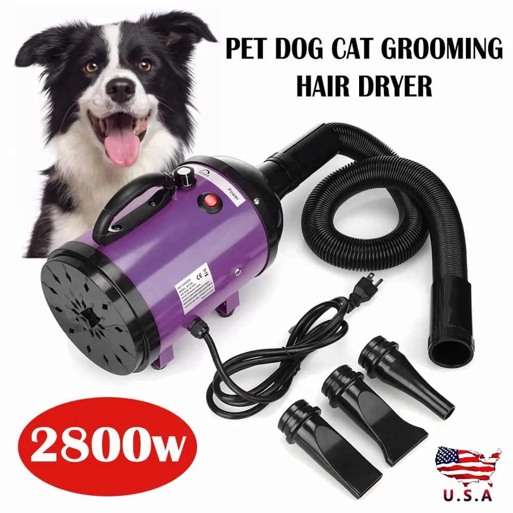 Фены для собак