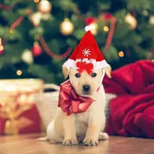Рождественская Красная шапка с изображением кошки, снеговика, Рождественский костюм елочки, аксессуар, плюшевая шапка, аксессуары для новогодней собаки