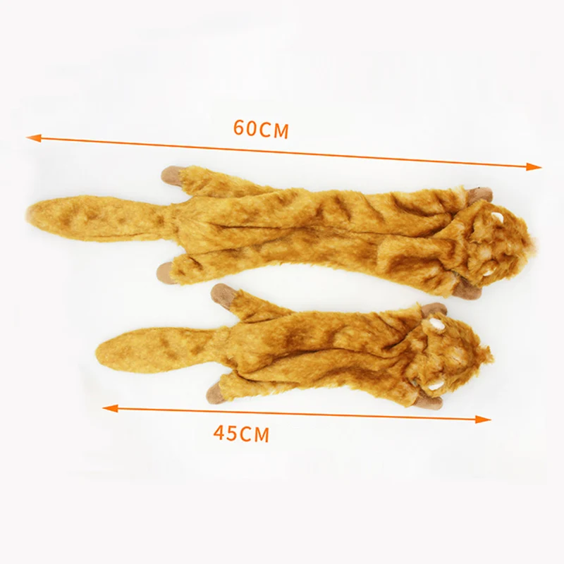 14070398293_1253040149