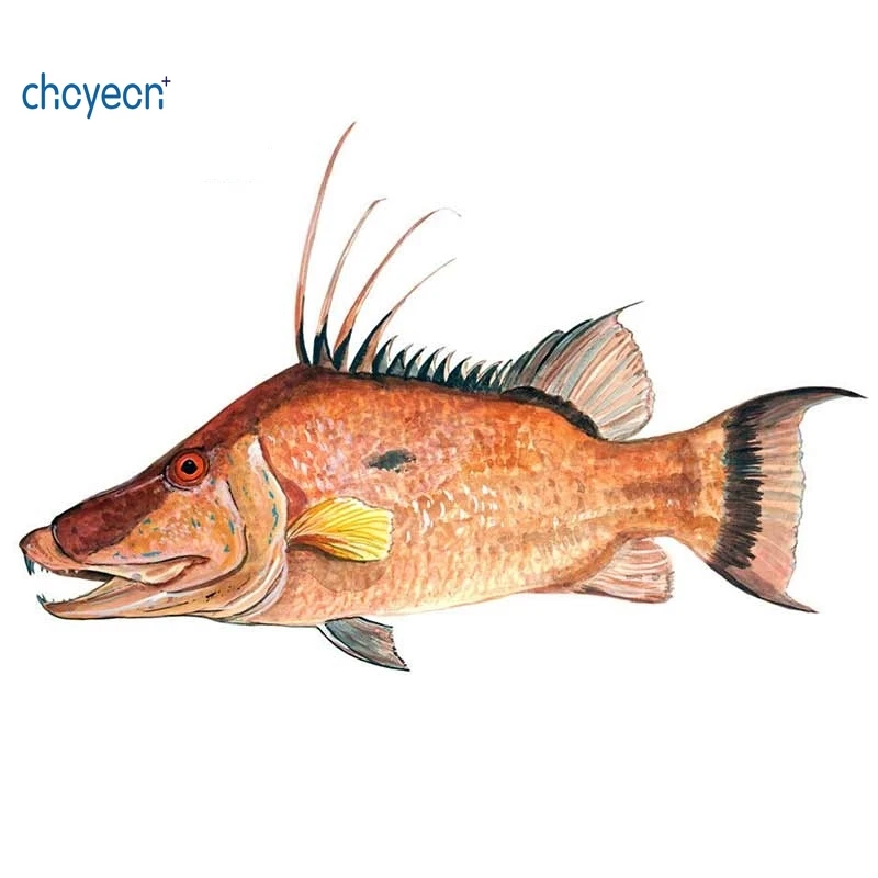 13cm x 8.4cm Hog Fish Hogfish Fishing Home Office Dorm Camp Decor Wall Art Sticker Gift Decals Car Stickers Graphics | Автомобили и