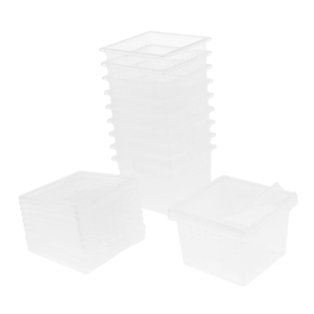 10x Aquarium Shrimp Feeding Dish Bowls Reptiles Water Food Dish Feeder Bowl
