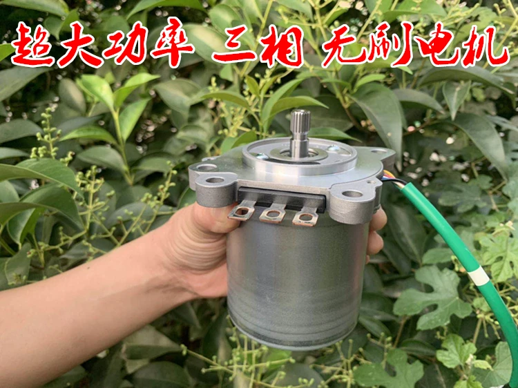 12v DC безщеточный мотор сервопривода Преобразователь мощности 600w бесщеточный двигатель высокий крутящий момент машинка для стрижки