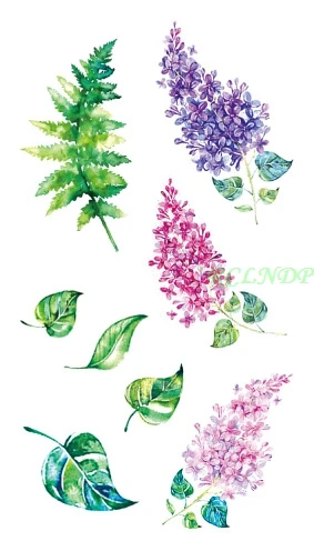 RC-486