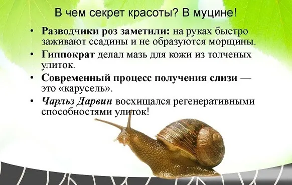 Бальзам для волос Markell «Bio Helix», увлажняющий, с муцином улитки, 250 мл