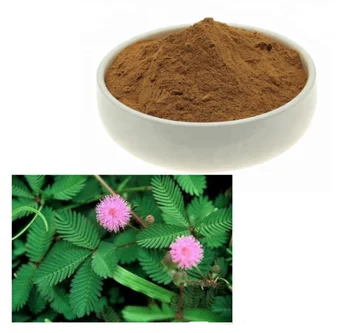 

10:1 Mimosa Hostilis Root Bark Extract powder,Organic ECOCERT Certification 100g-1000g