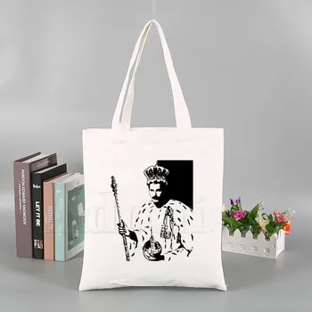 

FREDDIE MERCURY Heavy Rock Band The Queen New Arrives Art Canvas Bag Totes Simple Print Shopping Bags Girls Life Casual Pacakge