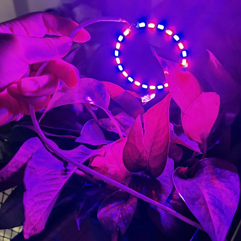 Description Picture 4 of itemDC 5V USB plant Grow Light 24 LED Chip indoor flower lamp 5730 SMD desk Growing Lamp hydro Dimmable for Succulent Potted A1