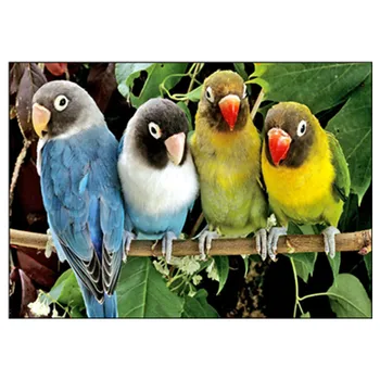 

5D DIY Diamond Painting Full Circle Diamond Embroidery Animal "Parrot Four Brothers" Cross Stitch Painting