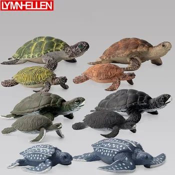 

Simulation Marine Life A Variety of Styles Sea Turtle Toy Tortoise Model Action Figures PVC Figurine Child Kids Educational Toys