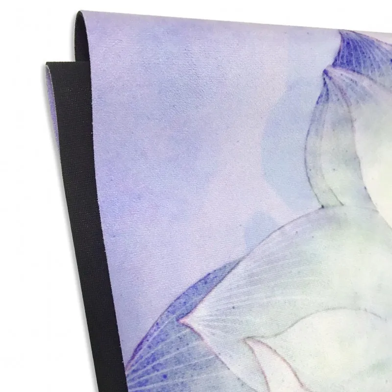 12353662639_2027571345_conew1